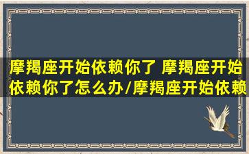 摩羯座开始依赖你了 摩羯座开始依赖你了怎么办/摩羯座开始依赖你了 摩羯座开始依赖你了怎么办-我的网站